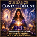 Guidance personnalisée de 30 min par POUPOU Tarot pour échange et accompagnement sur le lien avec un proche disparu.